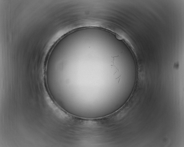 X0000116821088200912181402
