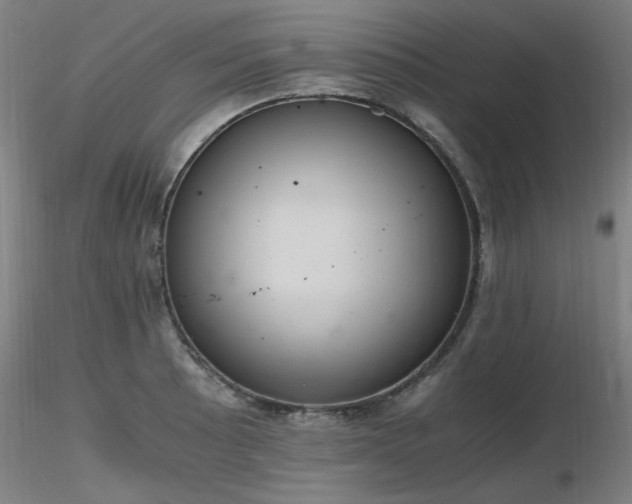 X0000116821089200912181402