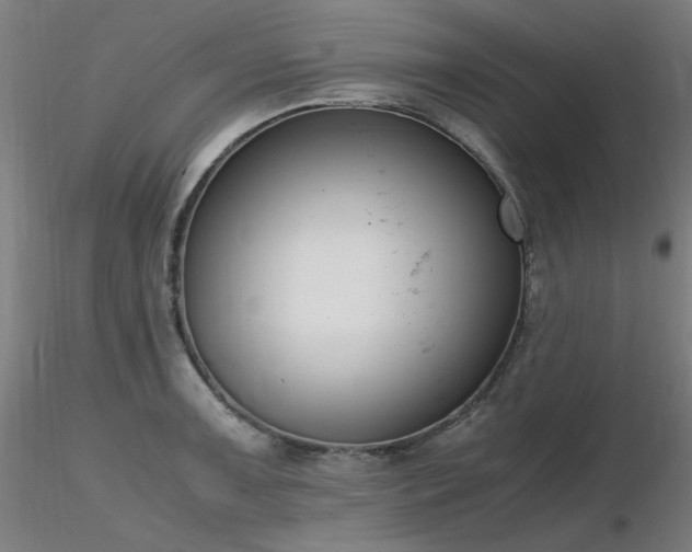 X0000116821091200912181402