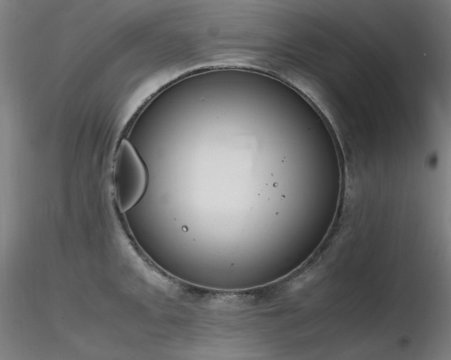 X0000116821093200912181402