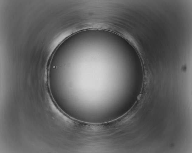 X0000116821095200912181402