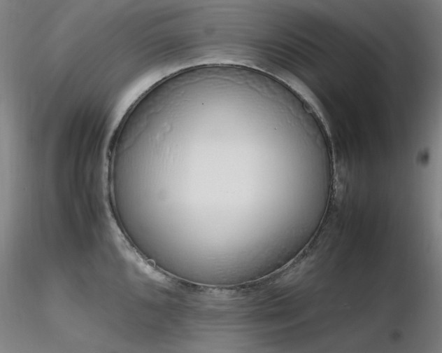 X0000116821096200912181402