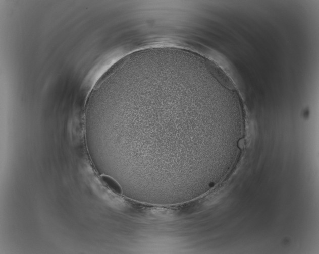 X0000116821097200912181402
