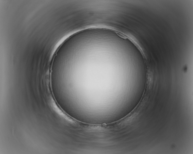 X0000116821100200912181402
