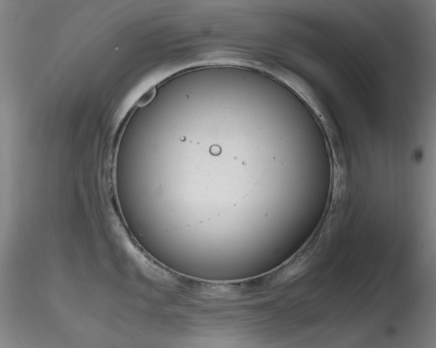 X0000116821101200912181402
