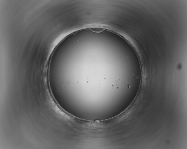 X0000116821102200912181402