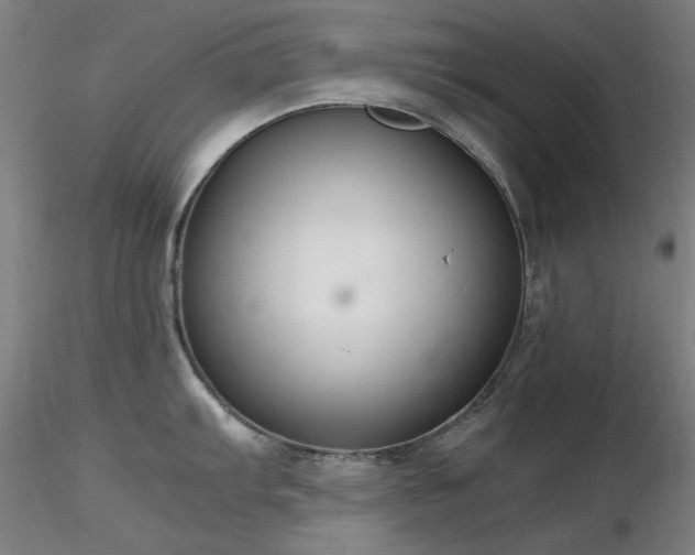 X0000116821103200912181402