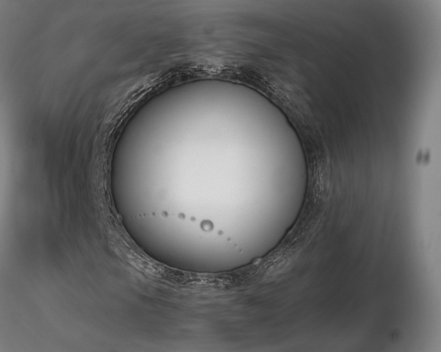 X0000116821105200912181401