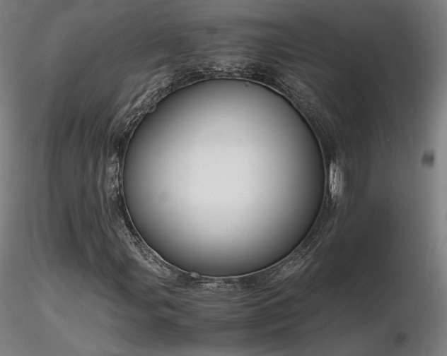 X0000116821107200912181401