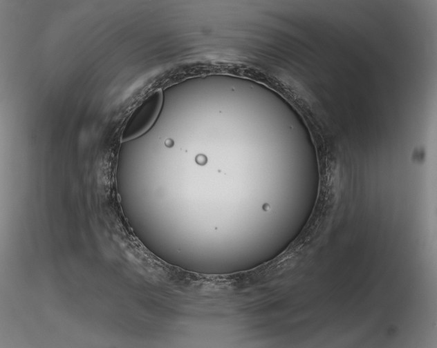 X0000116821110200912181401