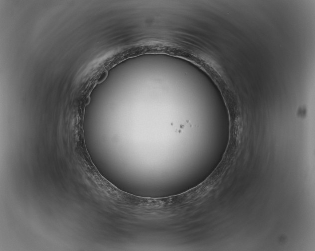X0000116821111200912181401