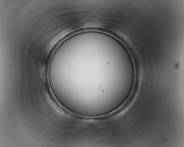 X0000116821113200912181401