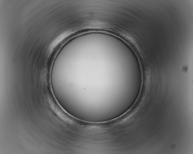 X0000116821114200912181401