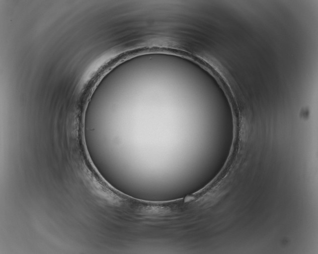 X0000116821115200912181401