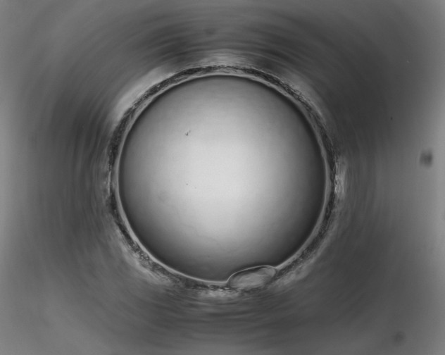 X0000116821117200912181401