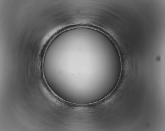 X0000116821118200912181401