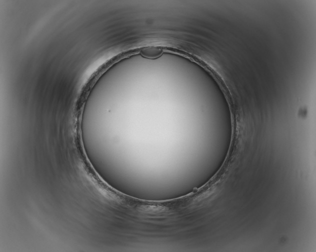 X0000116821119200912181401