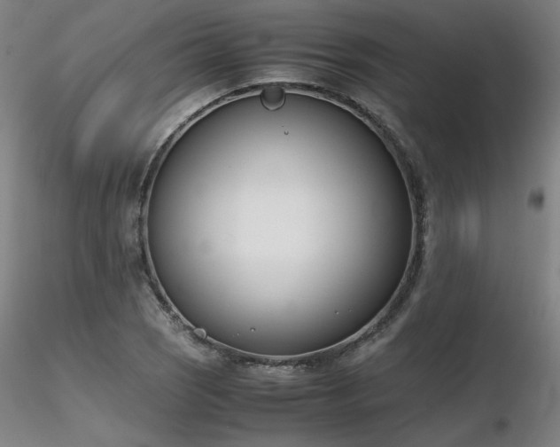 X0000116821121200912181401
