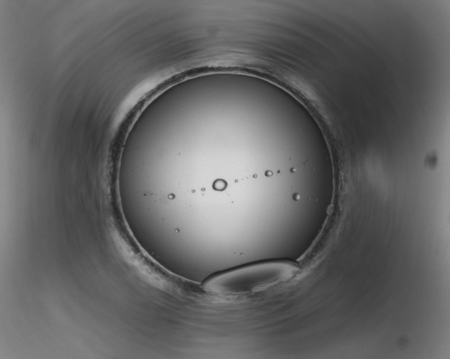 X0000116821122200912181401