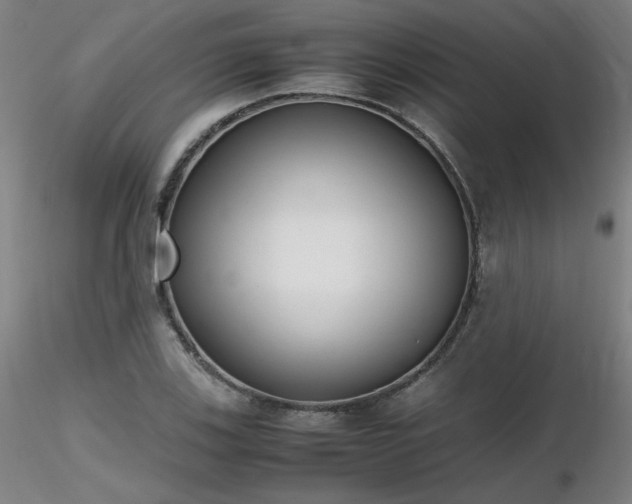 X0000116821123200912181401