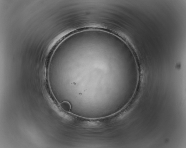 X0000116821125200912181401