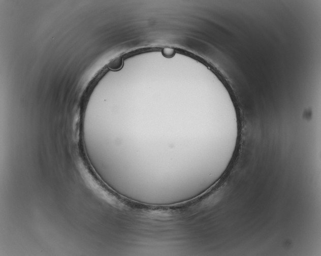 X0000116821126200912181401