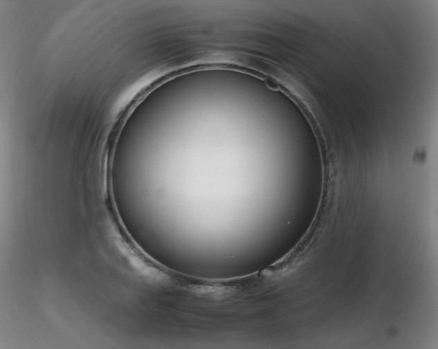 X0000116821127200912181401