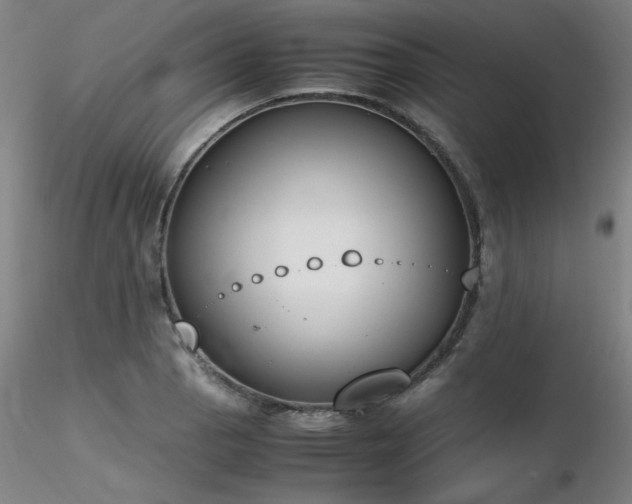 X0000116821129200912181401