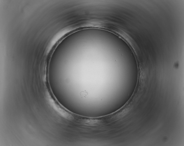 X0000116821131200912181402