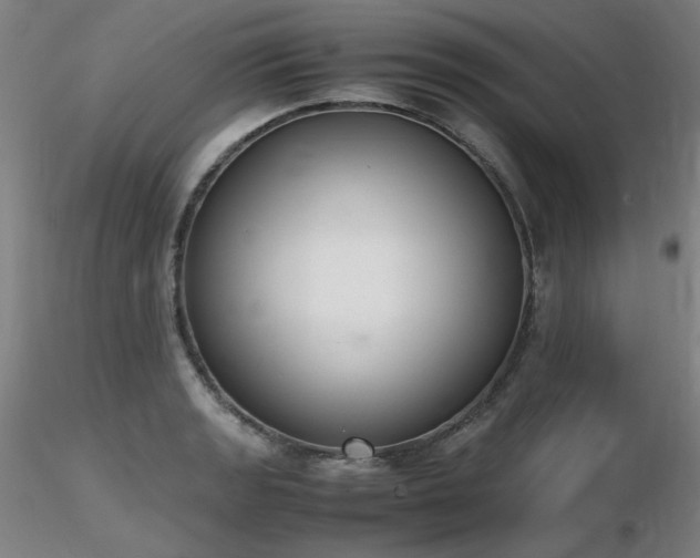 X0000116821133200912181402