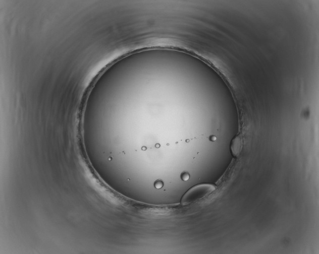 X0000116821134200912181402