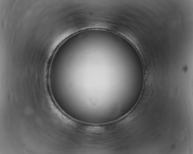 X0000116821135200912181402