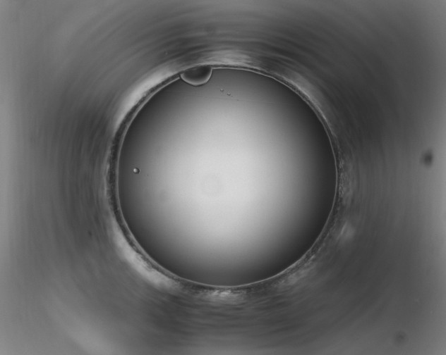 X0000116821139200912181402
