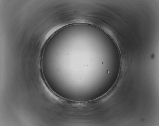 X0000116821141200912181402