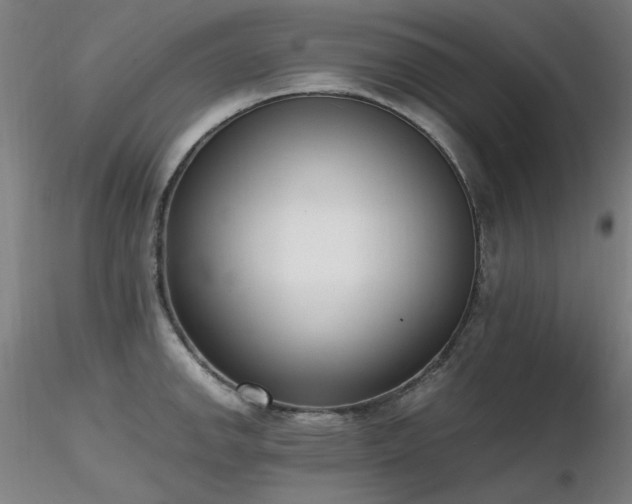 X0000116821142200912181402