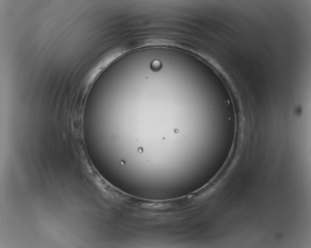 X0000116821145200912181402