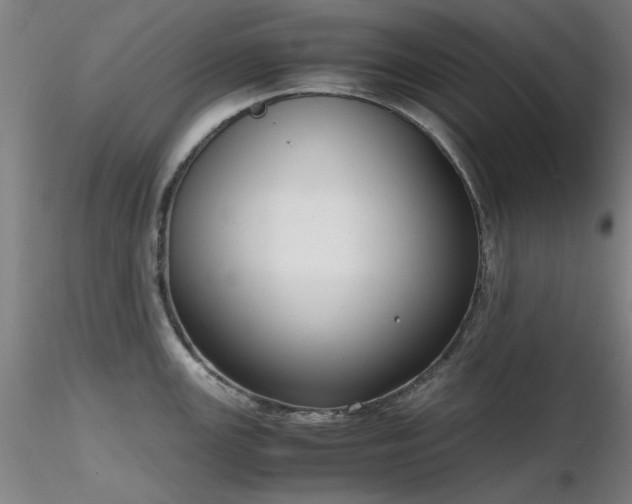 X0000116821147200912181402