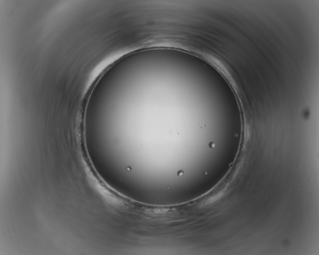 X0000116821149200912181402