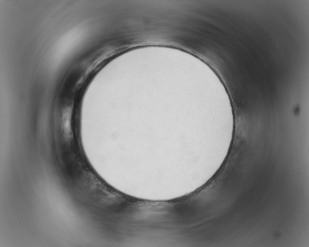 X0000116821150200912181402