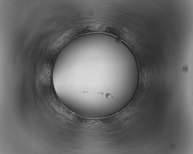 X0000116821154200912181401