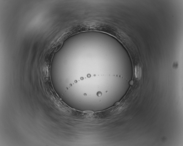 X0000116821155200912181401