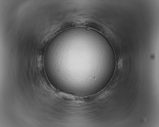 X0000116821156200912181401