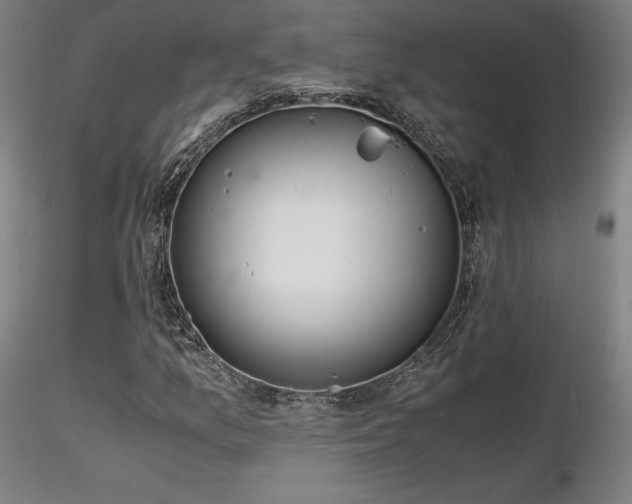 X0000116821157200912181401