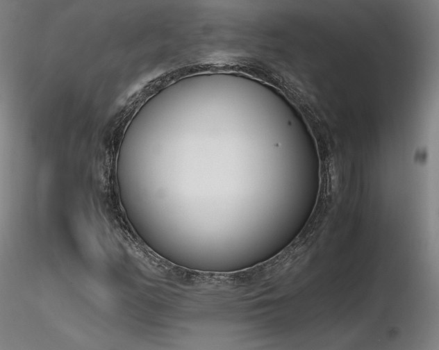 X0000116821158200912181401
