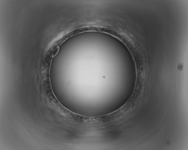 X0000116821159200912181401