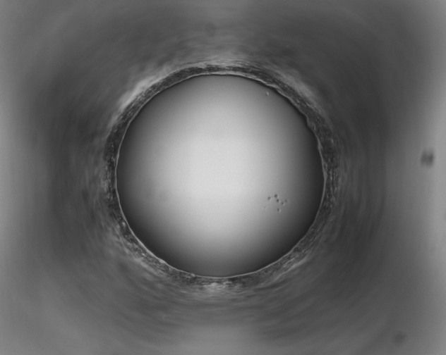 X0000116821160200912181401