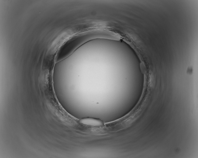 X0000116821161200912181401