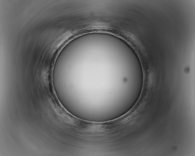 X0000116821162200912181401