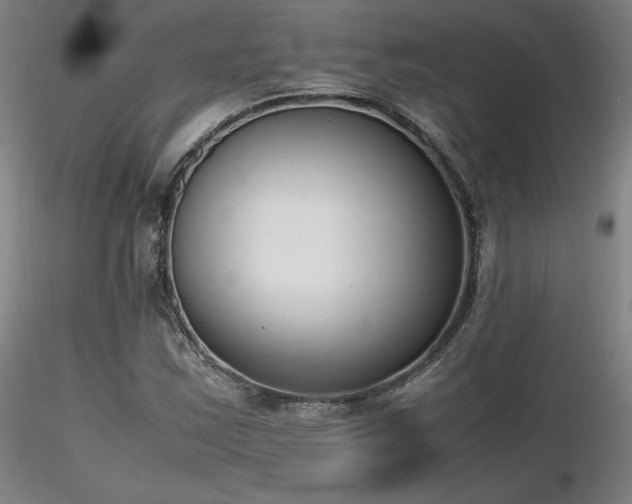 X0000116821163200912181401