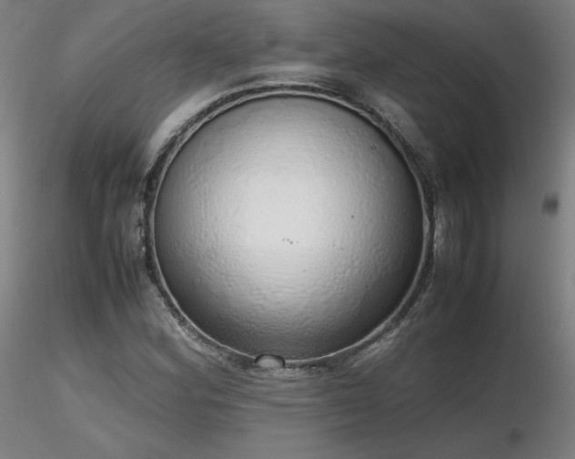 X0000116821164200912181401